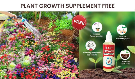 Varieties of Flower Seeds (Pack of 100) & Get Plant Growth Supplement Free