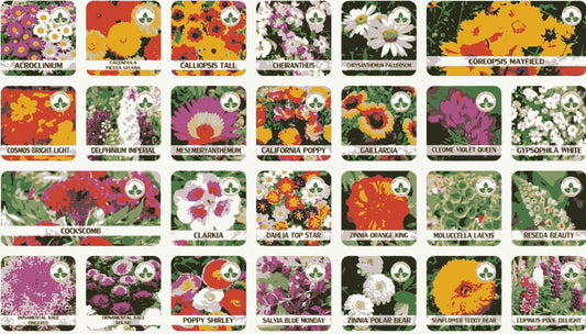 Varieties of Flower Seeds (Pack of 100) & Get Plant Growth Supplement Free